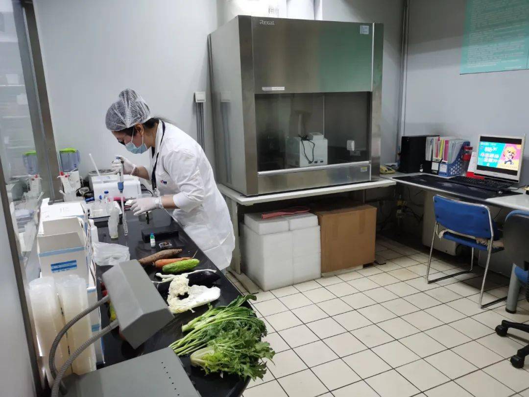 泉港食品检测实验室装修方案